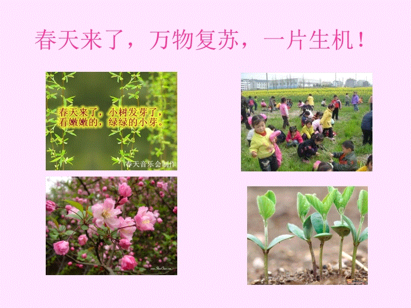 开云APP