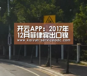 开云APP:2017年12月菲律宾出口镍矿环比大降76% 印尼出口量环比增加(图1) 开云APP:2017年12月菲律宾出口镍矿环比大降76% 印尼出口量环比增加(图1)